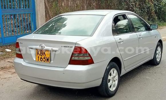 Buy Used Toyota Corolla II Silver Car in Machakos in Nairobi Buy Used Toyota Corolla II Silver Car in Machakos in Nairobi