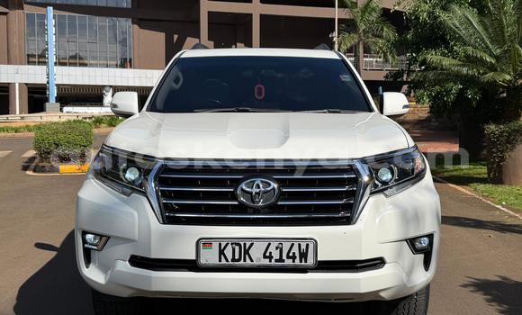 Buy Used Toyota Land Cruiser Prado White Car in Nairobi in Nairobi