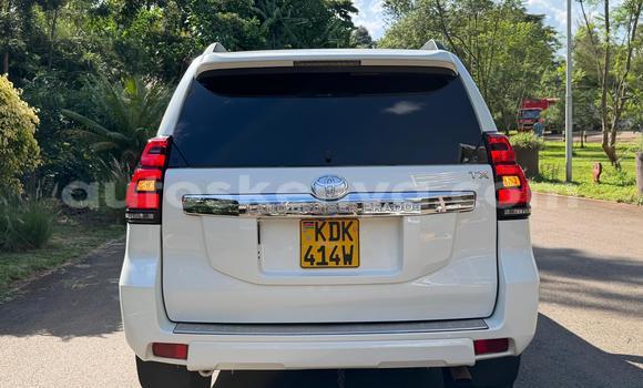 Nunua Ilio tumika Toyota Land Cruiser Prado Nyeupe Gari ndani ya Nairobi nchini Nairobi Nunua Ilio tumika Toyota Land Cruiser Prado Nyeupe Gari ndani ya Nairobi nchini Nairobi