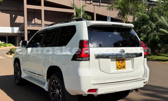 Nunua Ilio tumika Toyota Land Cruiser Prado Nyeupe Gari ndani ya Nairobi nchini Nairobi Nunua Ilio tumika Toyota Land Cruiser Prado Nyeupe Gari ndani ya Nairobi nchini Nairobi