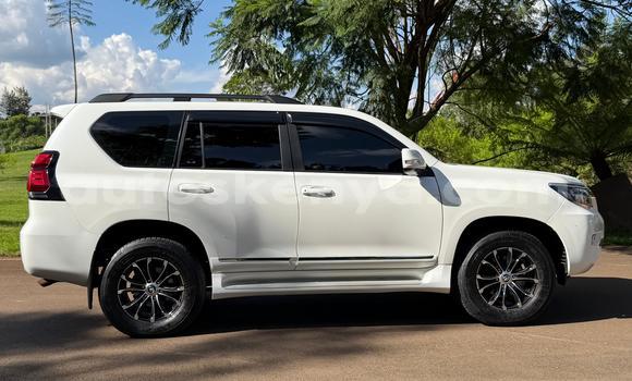 Nunua Ilio tumika Toyota Land Cruiser Prado Nyeupe Gari ndani ya Nairobi nchini Nairobi Nunua Ilio tumika Toyota Land Cruiser Prado Nyeupe Gari ndani ya Nairobi nchini Nairobi