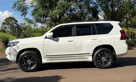 Nunua Ilio tumika Toyota Land Cruiser Prado Nyeupe Gari ndani ya Nairobi nchini Nairobi Nunua Ilio tumika Toyota Land Cruiser Prado Nyeupe Gari ndani ya Nairobi nchini Nairobi