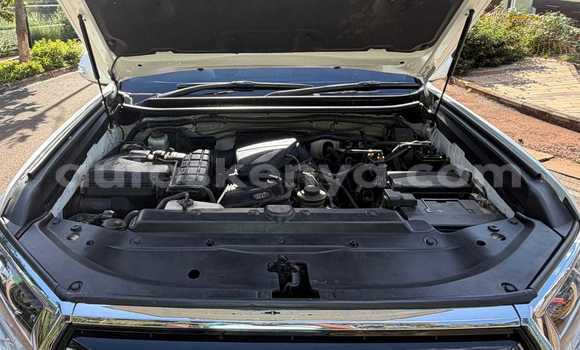 Nunua Ilio tumika Toyota Land Cruiser Prado Nyeupe Gari ndani ya Nairobi nchini Nairobi Nunua Ilio tumika Toyota Land Cruiser Prado Nyeupe Gari ndani ya Nairobi nchini Nairobi