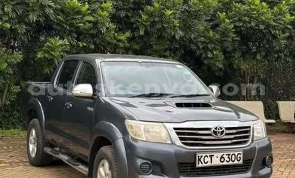 Oofamaa Toyota Hilux Other Makiinaa iti Bute keessatti Northeast Kenya keessatti Oofamaa Toyota Hilux Other Makiinaa iti Bute keessatti Northeast Kenya keessatti