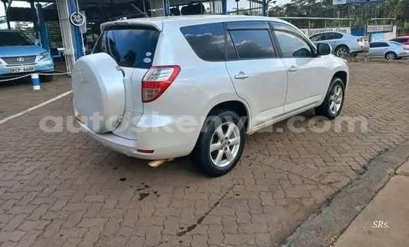 Oofamaa Toyota Avalon Other Makiinaa iti Bute keessatti Northeast Kenya keessatti Oofamaa Toyota Avalon Other Makiinaa iti Bute keessatti Northeast Kenya keessatti
