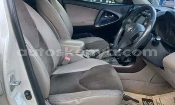 Oofamaa Toyota Avalon Other Makiinaa iti Bute keessatti Northeast Kenya keessatti Oofamaa Toyota Avalon Other Makiinaa iti Bute keessatti Northeast Kenya keessatti