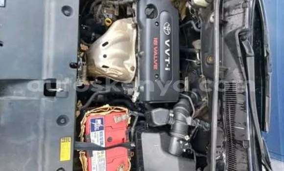 Oofamaa Toyota Avalon Other Makiinaa iti Bute keessatti Northeast Kenya keessatti Oofamaa Toyota Avalon Other Makiinaa iti Bute keessatti Northeast Kenya keessatti