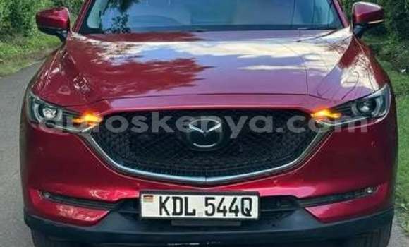 Buy Used Mazda CX-5 Other Car in Bute in Northeast Kenya