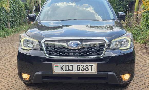 Buy Used Subaru Forester Black Car in Nairobi in Nairobi Buy Used Subaru Forester Black Car in Nairobi in Nairobi