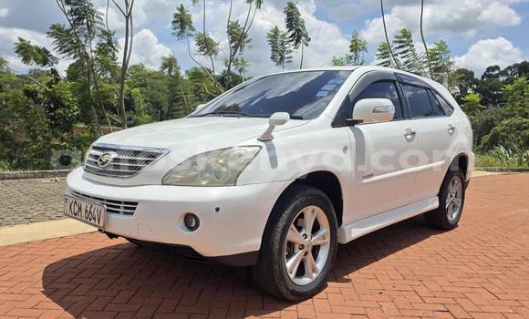 Buy Used Toyota Harrier White Car in Nairobi in Nairobi Buy Used Toyota Harrier White Car in Nairobi in Nairobi