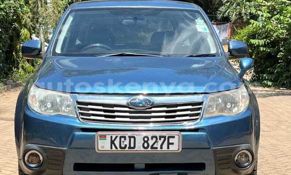 Buy Used Subaru Forester Blue Car in Nairobi in Nairobi