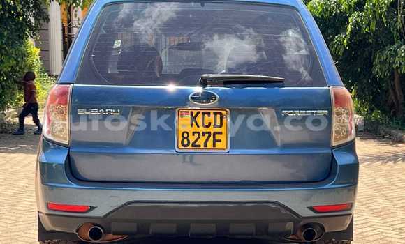Buy Used Subaru Forester Blue Car in Nairobi in Nairobi Buy Used Subaru Forester Blue Car in Nairobi in Nairobi