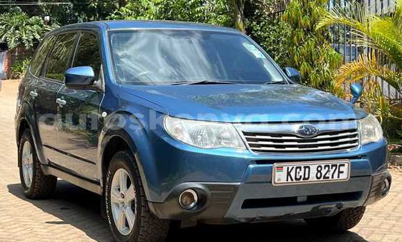 Buy Used Subaru Forester Blue Car in Nairobi in Nairobi Buy Used Subaru Forester Blue Car in Nairobi in Nairobi