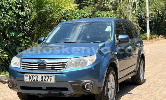 Buy Used Subaru Forester Blue Car in Nairobi in Nairobi Buy Used Subaru Forester Blue Car in Nairobi in Nairobi