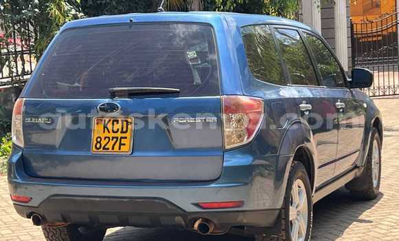 Buy Used Subaru Forester Blue Car in Nairobi in Nairobi Buy Used Subaru Forester Blue Car in Nairobi in Nairobi
