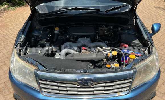 Buy Used Subaru Forester Blue Car in Nairobi in Nairobi Buy Used Subaru Forester Blue Car in Nairobi in Nairobi