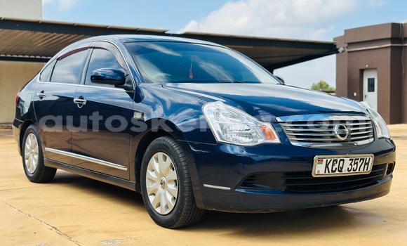 Buy Used Nissan Bluebird Sylphy Blue Car in Nairobi in Nairobi