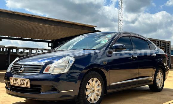 Buy Used Nissan Bluebird Sylphy Blue Car in Nairobi in Nairobi Buy Used Nissan Bluebird Sylphy Blue Car in Nairobi in Nairobi