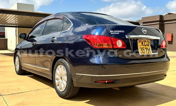 Buy Used Nissan Bluebird Sylphy Blue Car in Nairobi in Nairobi Buy Used Nissan Bluebird Sylphy Blue Car in Nairobi in Nairobi