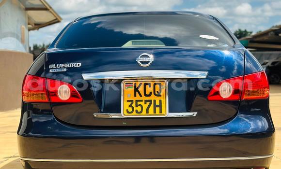Buy Used Nissan Bluebird Sylphy Blue Car in Nairobi in Nairobi Buy Used Nissan Bluebird Sylphy Blue Car in Nairobi in Nairobi
