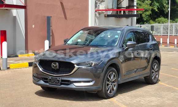 Buy Used Mazda CX-5 Other Car in Nairobi in Nairobi Buy Used Mazda CX-5 Other Car in Nairobi in Nairobi