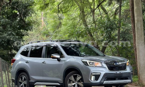Buy Used Subaru Forester Silver Car in Nairobi in Nairobi