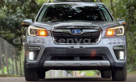 Buy Used Subaru Forester Silver Car in Nairobi in Nairobi Buy Used Subaru Forester Silver Car in Nairobi in Nairobi