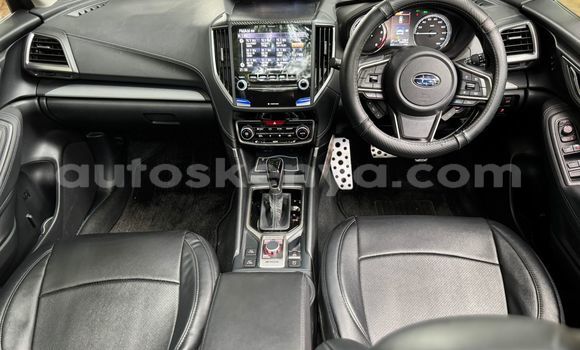 Buy Used Subaru Forester Silver Car in Nairobi in Nairobi Buy Used Subaru Forester Silver Car in Nairobi in Nairobi