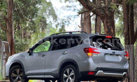 Buy Used Subaru Forester Silver Car in Nairobi in Nairobi Buy Used Subaru Forester Silver Car in Nairobi in Nairobi