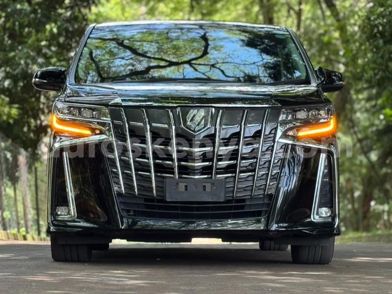 Big with watermark toyota alphard nairobi nairobi 29707
