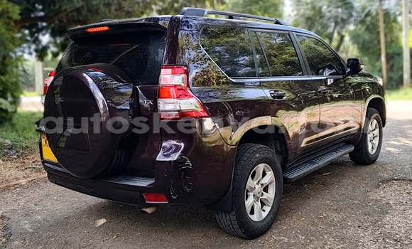 Oofamaa Toyota Land Cruiser Prado Other Makiinaa iti Nairobi keessatti Nairobi keessatti Oofamaa Toyota Land Cruiser Prado Other Makiinaa iti Nairobi keessatti Nairobi keessatti