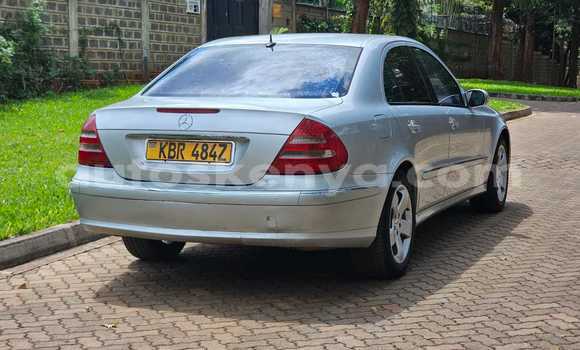 Oofamaa Mercedes‒Benz E–Class Silver Makiinaa iti Nairobi keessatti Nairobi keessatti Oofamaa Mercedes‒Benz E–Class Silver Makiinaa iti Nairobi keessatti Nairobi keessatti