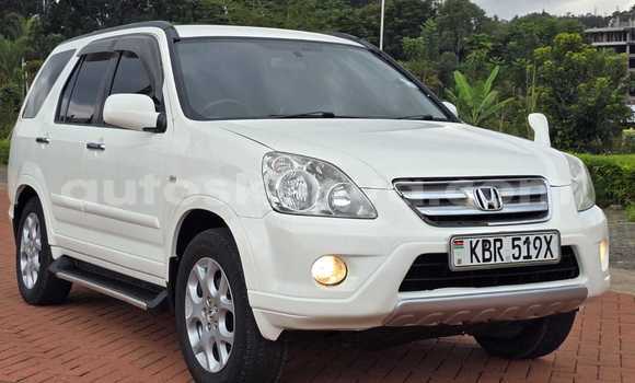 Buy Used Honda CR–V White Car in Nairobi in Nairobi Buy Used Honda CR–V White Car in Nairobi in Nairobi