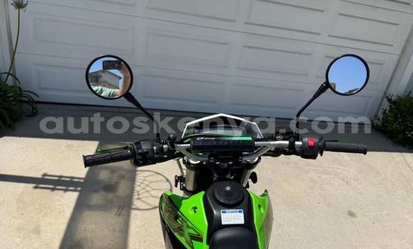 Oofamaa Kawasaki KLX Green Doqdoqqee iti Mombasa keessatti Coastal Kenya keessatti Oofamaa Kawasaki KLX Green Doqdoqqee iti Mombasa keessatti Coastal Kenya keessatti