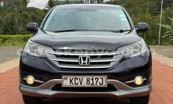 Buy Used Honda CR–V Black Car in Nairobi in Nairobi