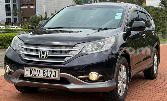 Buy Used Honda CR–V Black Car in Nairobi in Nairobi Buy Used Honda CR–V Black Car in Nairobi in Nairobi