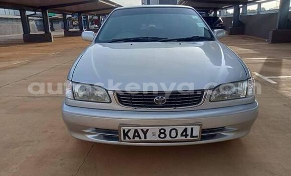 Buy Used Toyota Corolla Silver Car in Machakos in Nairobi