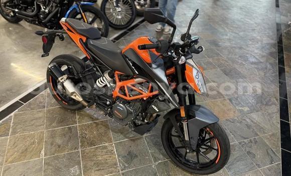 Buy Used KTM Duke Black Bike in Nairobi in Nairobi