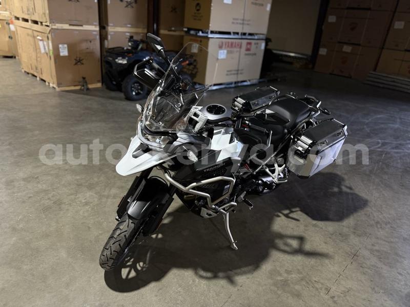 Big with watermark triumph tiger rift valley nanyuki 29876