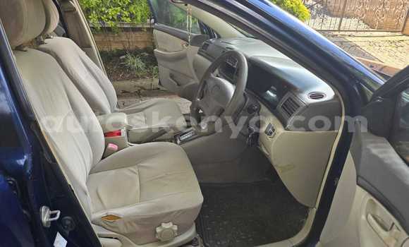 Nunua Ilio tumika Toyota Fielder Bluu Gari ndani ya Nairobi nchini Nairobi Nunua Ilio tumika Toyota Fielder Bluu Gari ndani ya Nairobi nchini Nairobi