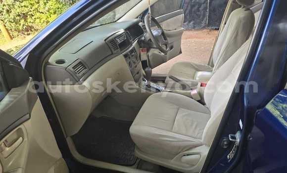 Nunua Ilio tumika Toyota Fielder Bluu Gari ndani ya Nairobi nchini Nairobi Nunua Ilio tumika Toyota Fielder Bluu Gari ndani ya Nairobi nchini Nairobi
