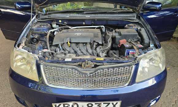 Nunua Ilio tumika Toyota Fielder Bluu Gari ndani ya Nairobi nchini Nairobi Nunua Ilio tumika Toyota Fielder Bluu Gari ndani ya Nairobi nchini Nairobi