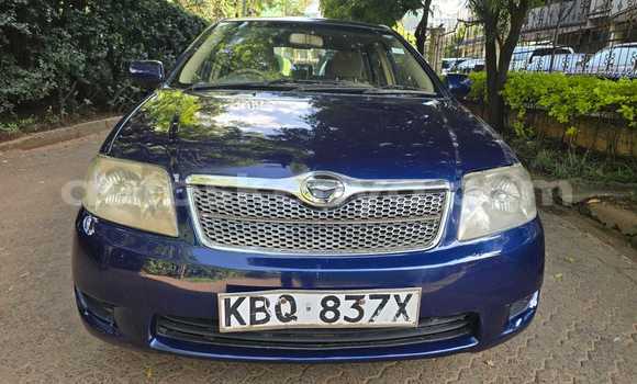 Nunua Ilio tumika Toyota Fielder Bluu Gari ndani ya Nairobi nchini Nairobi Nunua Ilio tumika Toyota Fielder Bluu Gari ndani ya Nairobi nchini Nairobi