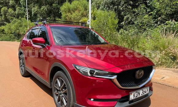 Buy Used Mazda CX-5 Red Car in Nairobi in Nairobi Buy Used Mazda CX-5 Red Car in Nairobi in Nairobi