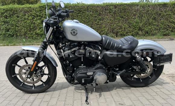 Buy Used Harley Davidson IRON White Bike in Changamwe in Coast