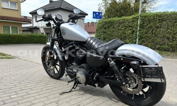 Buy Used Harley Davidson IRON White Bike in Changamwe in Coast Buy Used Harley Davidson IRON White Bike in Changamwe in Coast