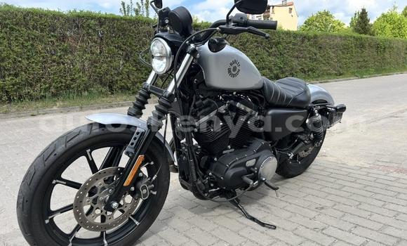 Buy Used Harley Davidson IRON White Bike in Changamwe in Coast Buy Used Harley Davidson IRON White Bike in Changamwe in Coast