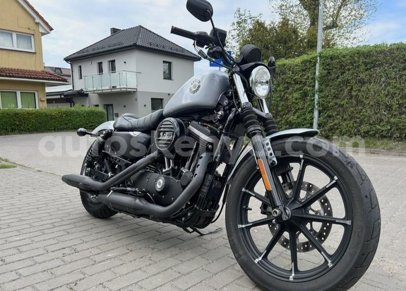 Big with watermark harley davidson iron coast changamwe 29886