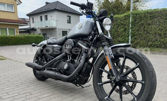 Buy Used Harley Davidson IRON White Bike in Changamwe in Coast Buy Used Harley Davidson IRON White Bike in Changamwe in Coast