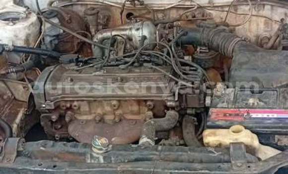 Buy Used Toyota Allex White Car in Nairobi in Nairobi Buy Used Toyota Allex White Car in Nairobi in Nairobi